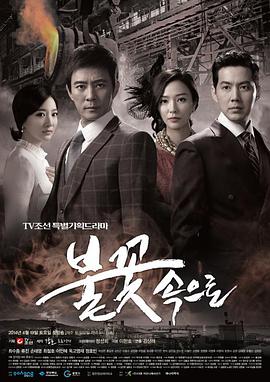 广州seo项目优化服务